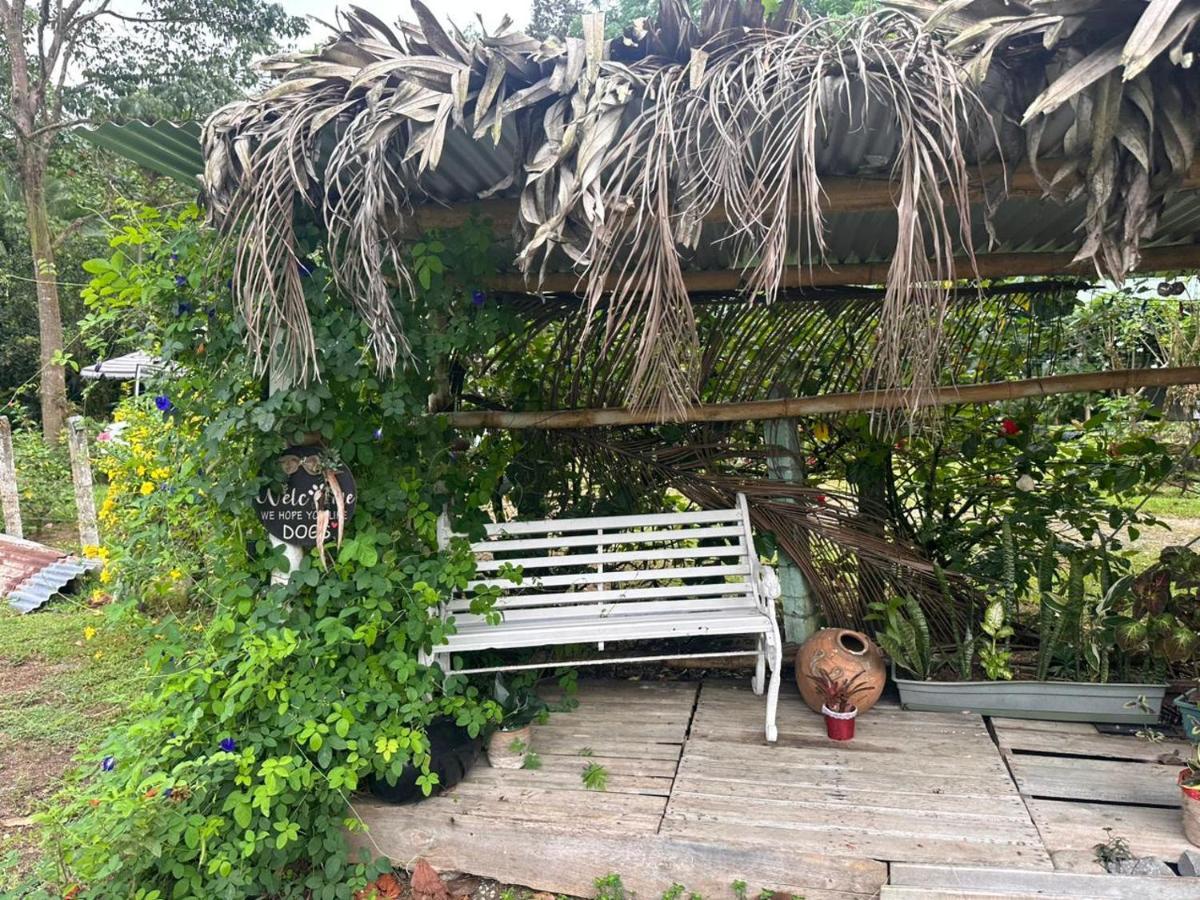 River Side Lodge Horquetas Exterior photo